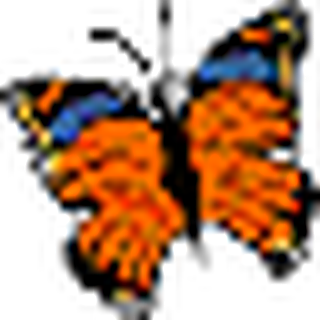EmbroideryDesigns.com logo